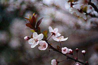 十月新游一览：《FIFA22》《孤岛惊魂6》等众多大作